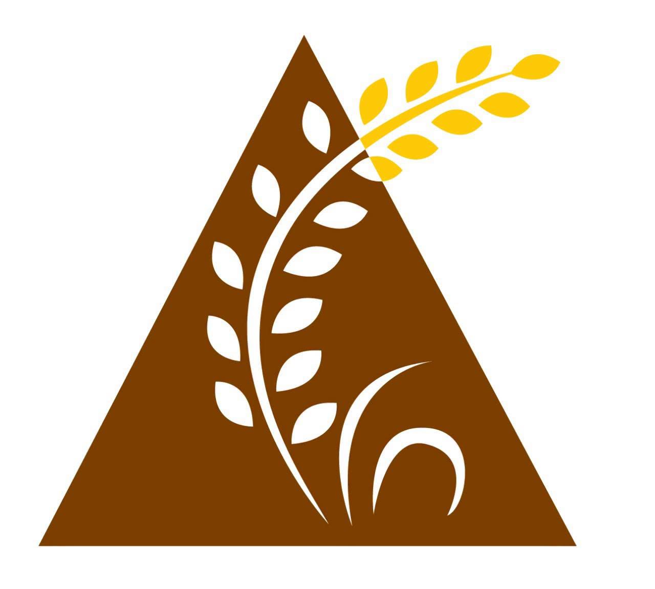 logo cũ